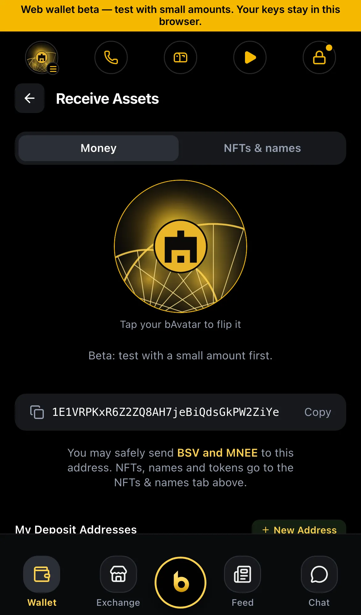 Receive screen with QR code